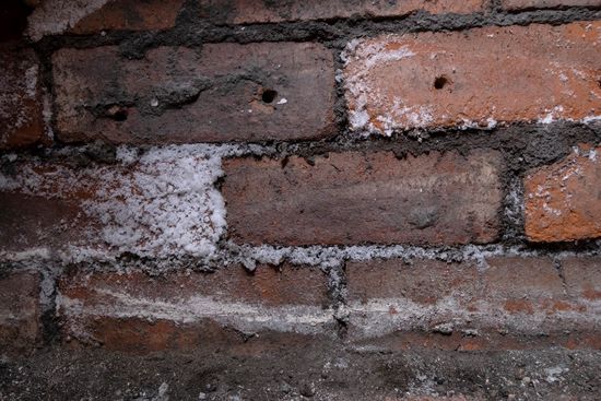 damp proofing